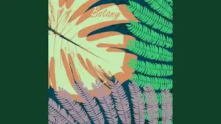 Algae Bloom
