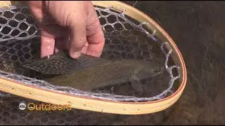 Fishing the Uinta Mountains and Guzzlers for Wildlife