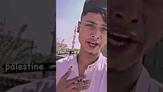 Palestine 🇵🇸#shorts #motivation #support #palestine #viral #shortvideo