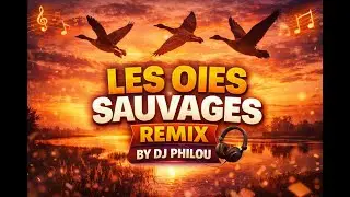 Les oies sauvages | Remix by Dj Philou | Electro