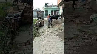 #children father carry#ek emotional father work 🙏#mother#father #childre@R0079