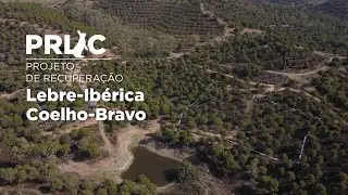 1&ordf; e 2&ordf; fase do Projeto PRLIC