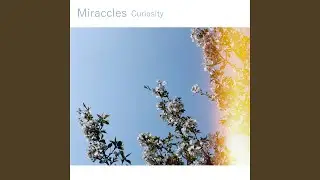 Curiosity