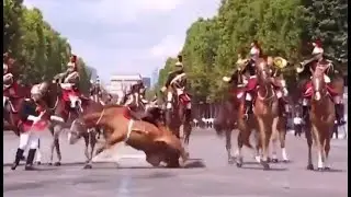 Парад во Франции в честь взятия Бастилии 2025 Bastille Day Parade in France 2025