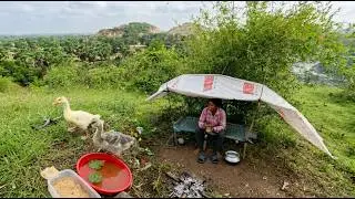 Outdoor Adventure Camping On The Mountain