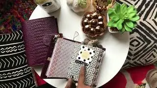 2 in 1| Pocket Gillio Mia Cara first impressions and fall setup