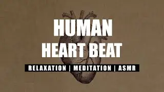 Human Heart Beat [ASMR, Sound For Relaxing, Meditation, Sleep]
