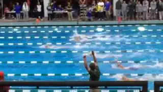 2016 A3 Performance Invitational Men's 500 Freestyle
