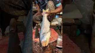 Amazing Rawas Fish Cutting Skills In  Fish44#Marketshorts