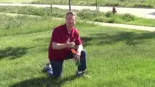 Crabgrass Control - Crabgrass Killer