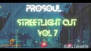 Streetlight Cuts Vol 07 Mixed & Compiled by ProSoul
