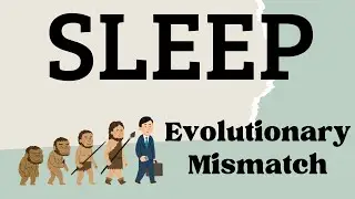 Evolutionary Mismatch | When Ancient Bodies Meet Modern Worlds