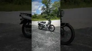 NEW 2025 Honda Trail 125 Mini Bike! | Southern Honda Powersports #honda #trail125 #minimoto #ct125