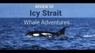 Review of Icy Strait Whale Adventures Excursion.