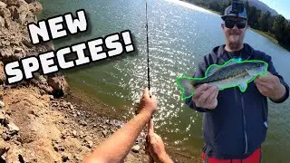 Lexington Reservoir Spotted Bass! (Exploring New Waters)