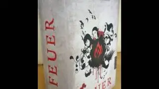 Feuer (Engelsfors Trilogie #2) ( H&ouml;rbuch ) -  2\2