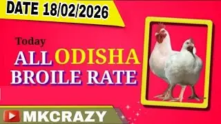 #TodayBroilerRate #Date_18_02_2026 #Todaychickenrate  All odisha broiler rate #broilerrate #Mkcrazy 