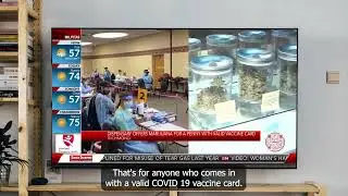 7 Stars in the News: KRON4 News, June 2021