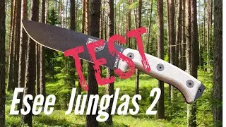 Junglas II  ... Esee on allait se balader un peu en forêt ???