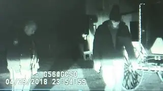 DRUNK Amish Man gets DUI in HORSE and BUGGY!