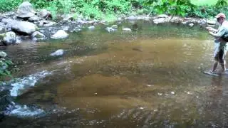 Local Waters