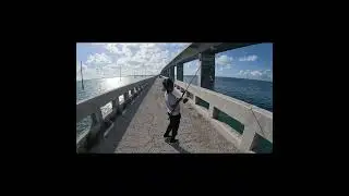 Fishing the legendary Channel 5 Bridge in the heart of the Florida Keys!#fishing #floridakeysfishing