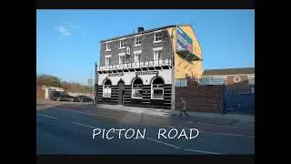 LIVERPOOL    WAVERTREE  /  PICTON ROAD ,  HIGH STREET .. throughout  time
