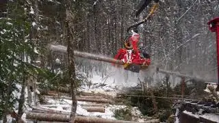 SP 661 LF Canada 2018
