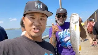 CROSSBAY BRIDGE Cleanup + BIG Weakfish!