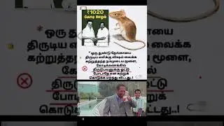 Election Time Satire | Political Promises vs Reality | Clean Comedy Memes 😄