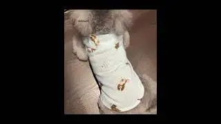 100%cotton printed shirt, breathable for summer. #petapparelmanufacturer #petclothes  #petapparel