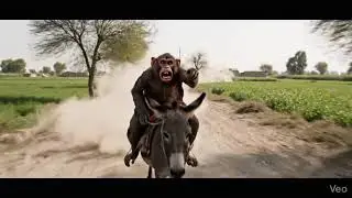 Rajb butt😂