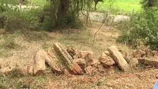 National Fossil Wood Park, Tiruvakkarai,VILLUPURAM DISTRICT