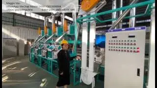 20ton corn maize flour mill plant installed in Mozambique，15-20ton corn maize meal mill machine