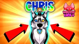 Крис встречает Коттона! + Как раскрасить зубы! Roblox WOLVES LIFE DAWN