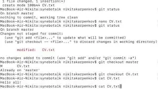 Basic GIT: add, commit, checkout file and reset.