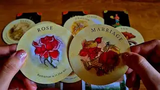 Your next 24 Hour blessings 😯 Hindi Tarot card Reading 🌙  Timeless  🌙 ✨️