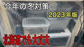 【レオパ】冬の寒さ対策