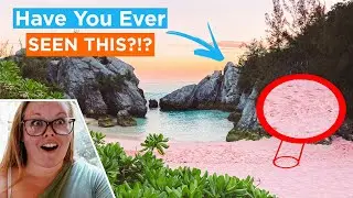 Finding An Unbelievable PINK SAND BEACH Bermuda | Horseshoe Bay Bermuda