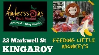 Andersson's Fruit - Feeding little Monkeys