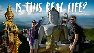 REALITY OF LIFE AS AN EXPAT (THE DAILY STRUGGLES)