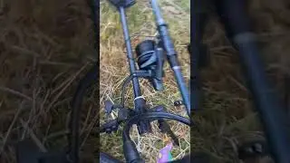 Jedzie... #carplife #carpwatch #common #hobby #karp #karpiarstwo #carp #carpangling #carpfishing