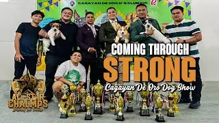 Cagayan de Oro K-9 Club Dog Show MADNESS! Our All-Star ChaLmps Crew DOMINATES!