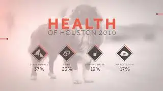 Houston PetSet Brand Video - 2.19.19