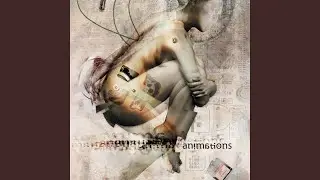Animations