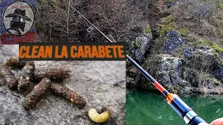 Clean la carabete în sezonul rece. 30 ianuarie 2021..