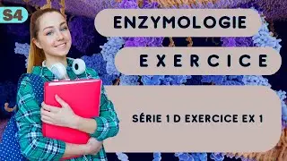 Enzymologie S4  Série 1 d exercice EX 1