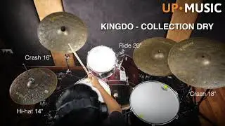 Kingdo Collection Dry แห้งสะใจ สาย Jazz ต้องมี | UP MUSIC STORE