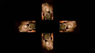 buddha image in hologram (test version)