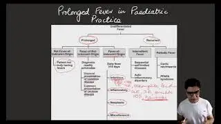 Prolonged Fever in Paediatric Practice